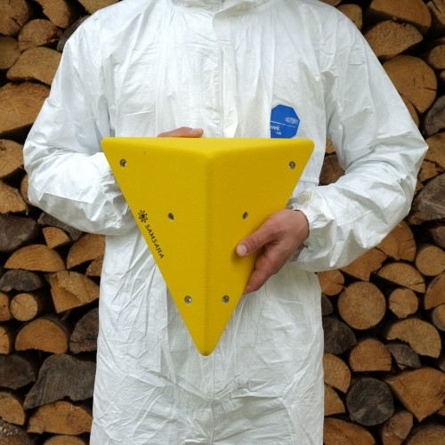 ��ǰ ������