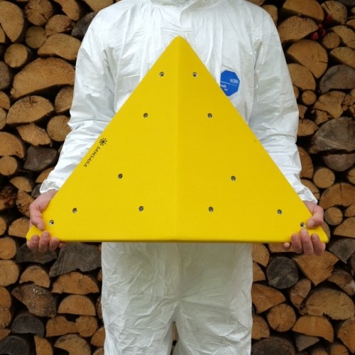 ��ǰ ������