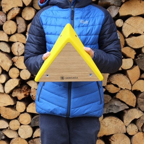 ��ǰ ������