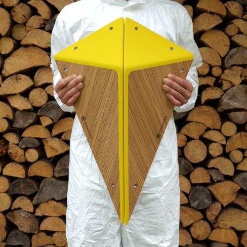 ��ǰ ������